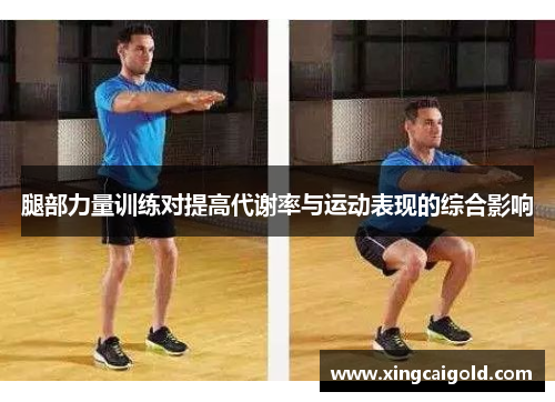 腿部力量训练对提高代谢率与运动表现的综合影响